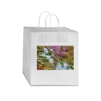 Coward's Hollow Shut Ins Ii Star Paper Bag - 13 X 7 X 13 | Artistshot