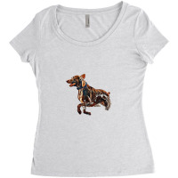 A Brown Dog Running In The Oc Women's Triblend Scoop T-shirt | Artistshot