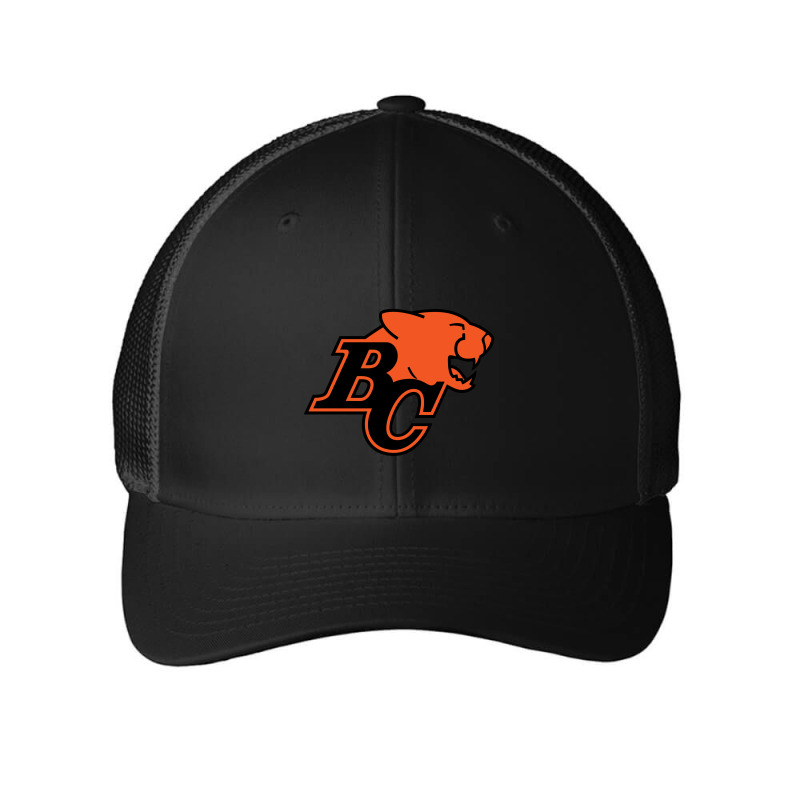 B C Lions Sport Mesh cap by Jas Jus Art | Artistshot