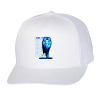 Jesus Is My God King My Lord My Savior Blue Lion Christian Graphic Trucker Cap | Artistshot