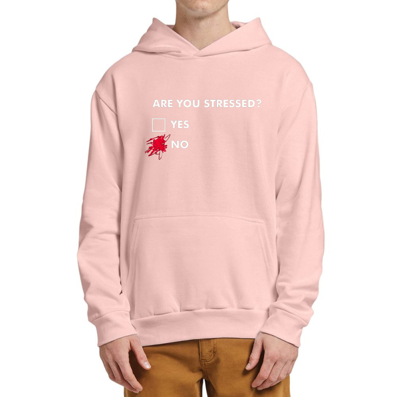 Are You Stressed Urban Pullover Hoodie | Artistshot