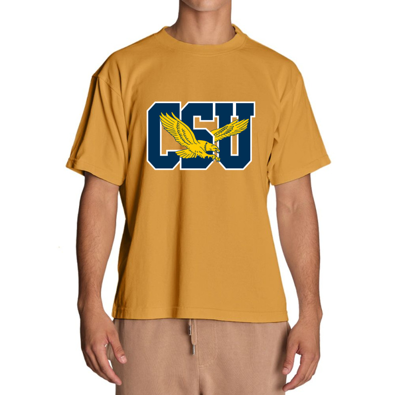 Coppin State Eagles L Urban Heavy T-shirt | Artistshot