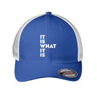 It Is What It Is Shirt T Shirt Mesh Cap | Artistshot