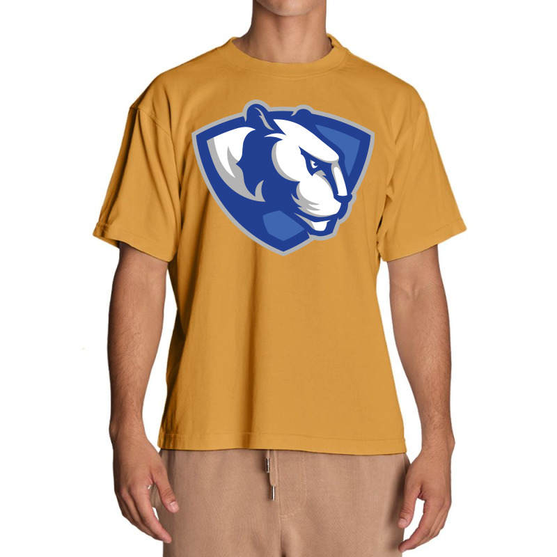 Eastern Illinois Panthers Urban Heavy T-shirt by doksshop | Artistshot