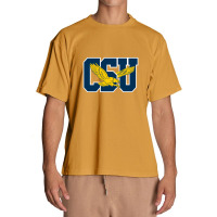 The Coppin State Eagles Urban Heavy T-shirt | Artistshot