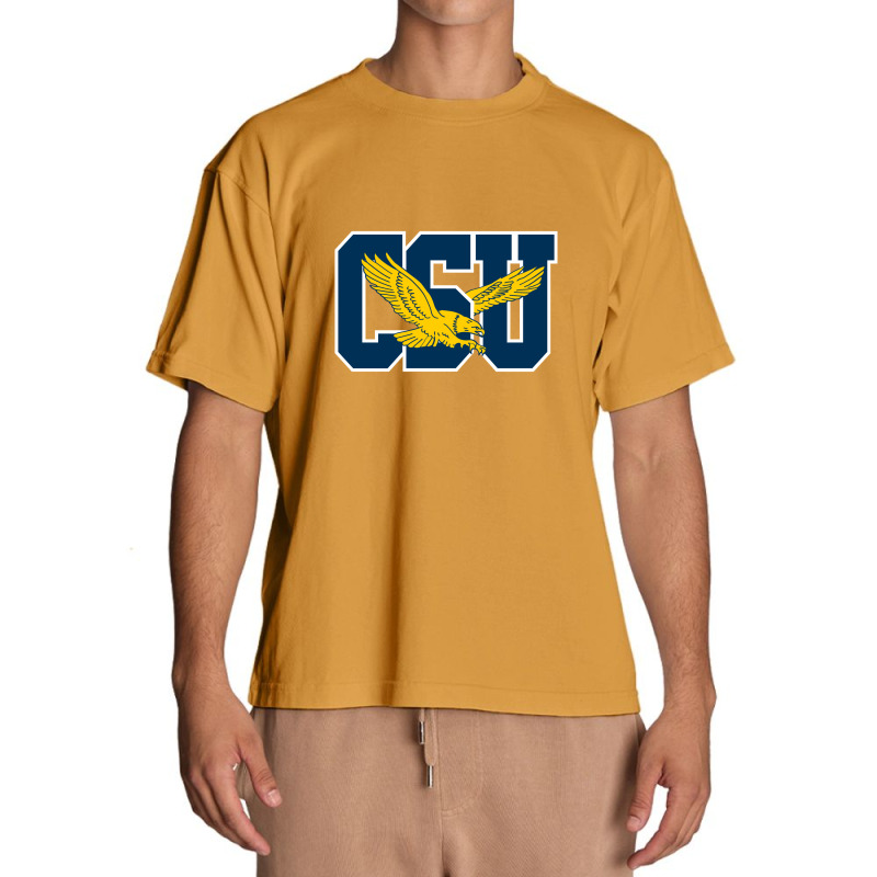 The Coppin State Eagles Urban Heavy T-shirt | Artistshot