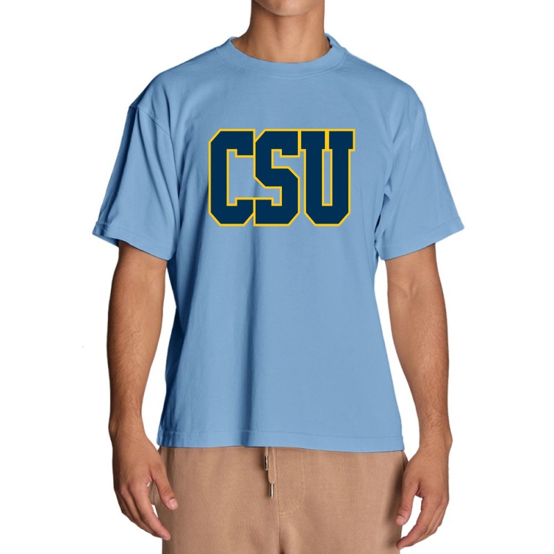 Coppin State Eagles Urban Heavy T-shirt | Artistshot