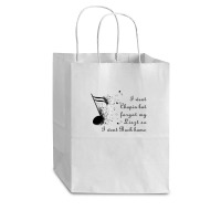 Funny Piano Products! Cub Paper Bag - 8 X 4 1/2 X 10 1/4 | Artistshot