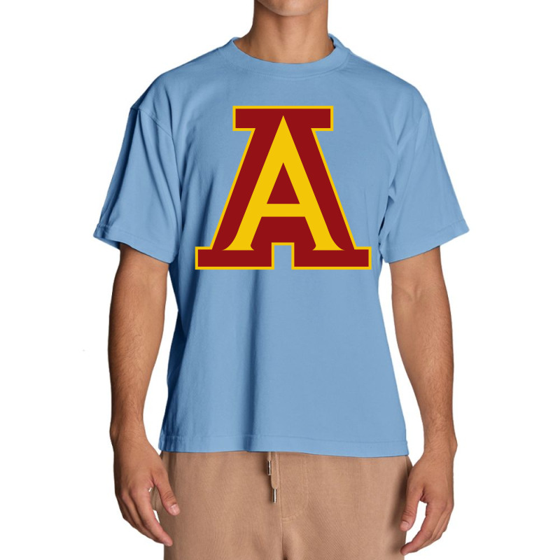 Arlington Lions Urban Heavy T-shirt | Artistshot