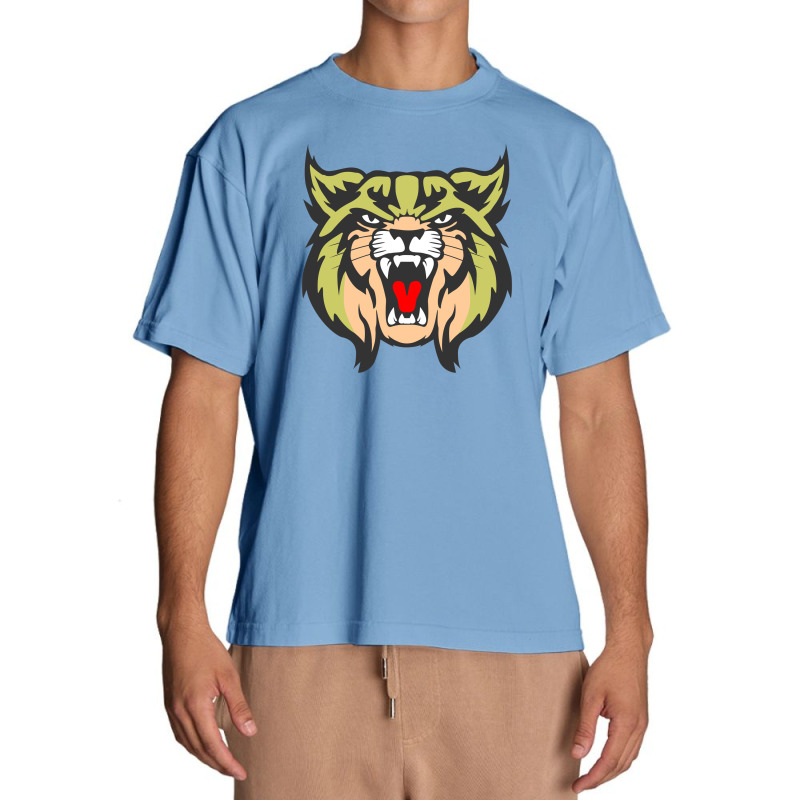 Brookings High School1 Urban Heavy T-shirt | Artistshot