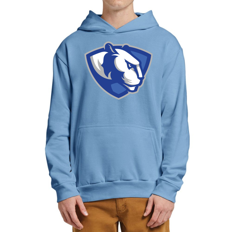 Eastern Illinois Panthers Urban Pullover Hoodie by doksshop | Artistshot