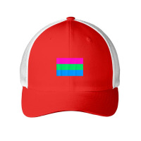 Polysexual Pride Flag National Pride Gift Mesh Cap | Artistshot