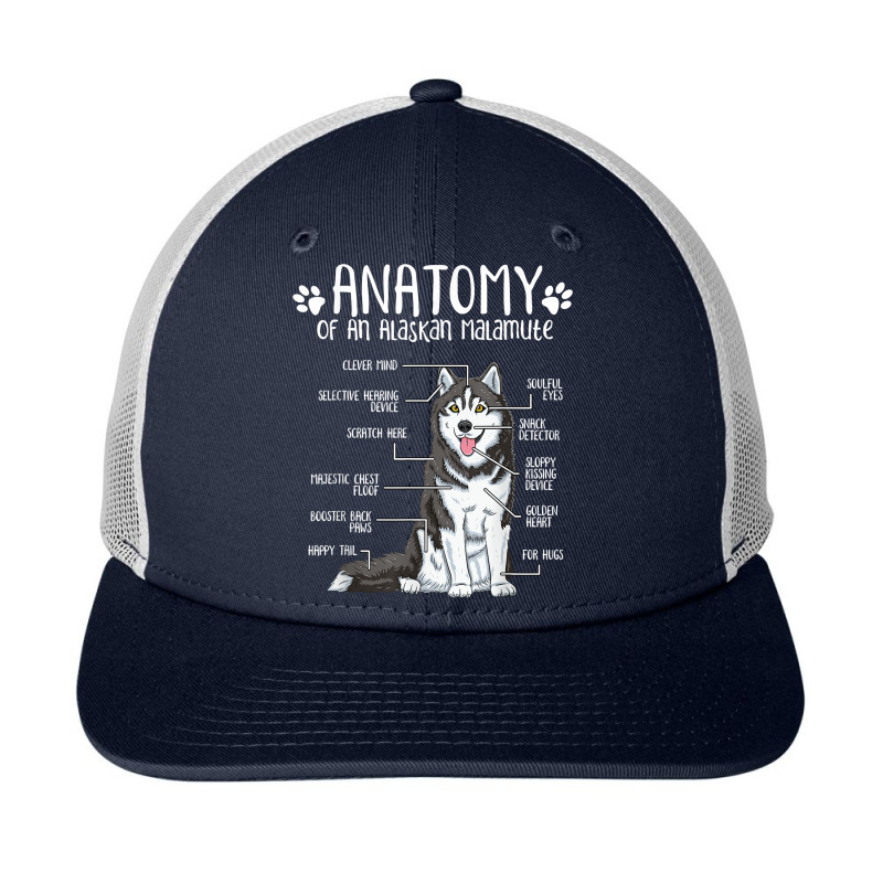 Funny Anatomy Alaskan Malamute Dog Lover T Shirt Snapback Trucker Cap | Artistshot