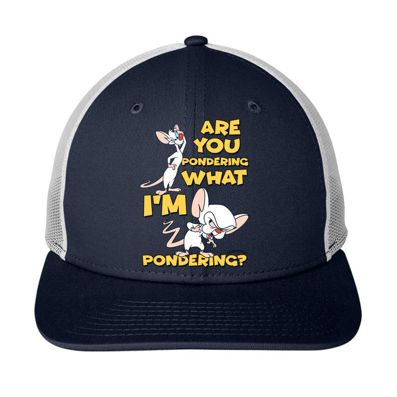 Pinky And The Brain Pondering Long Sleeve T Shirt Snapback Trucker Cap | Artistshot