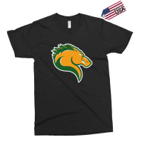 Marywood Merch, Pacers Exclusive T-shirt | Artistshot