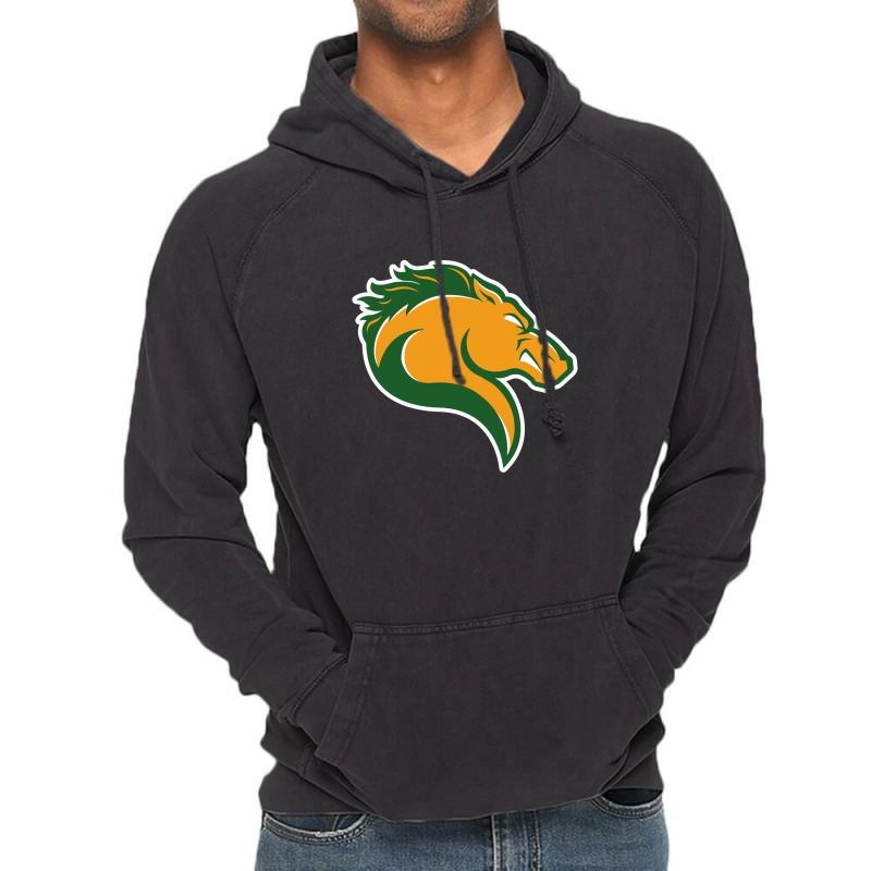 Marywood Merch, Pacers Vintage Hoodie | Artistshot