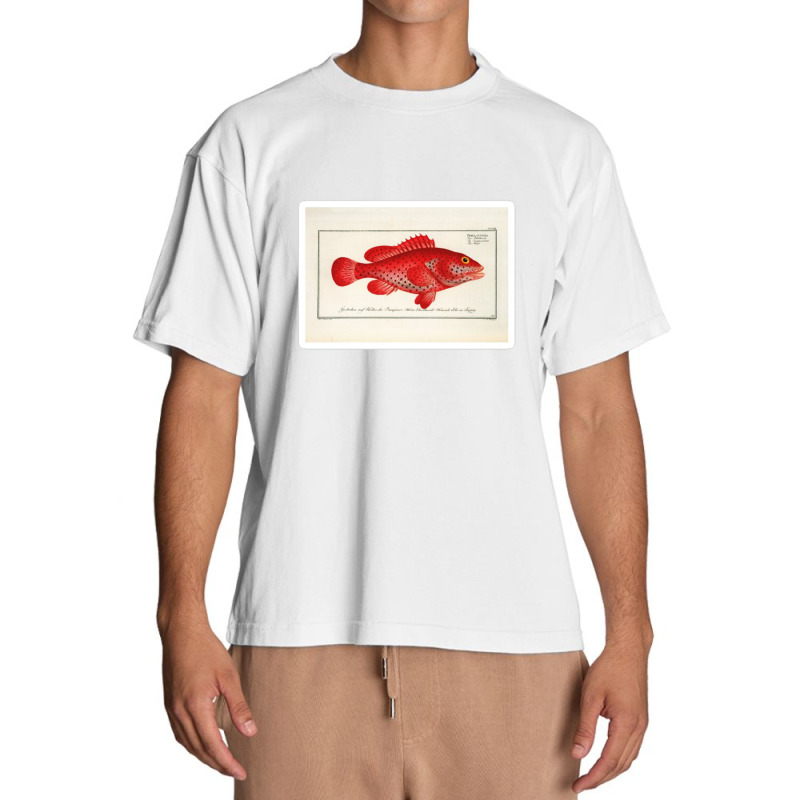 Antique Crustacean Print Homarus Americanus The American Lobster 57476 Urban Heavy T-shirt | Artistshot