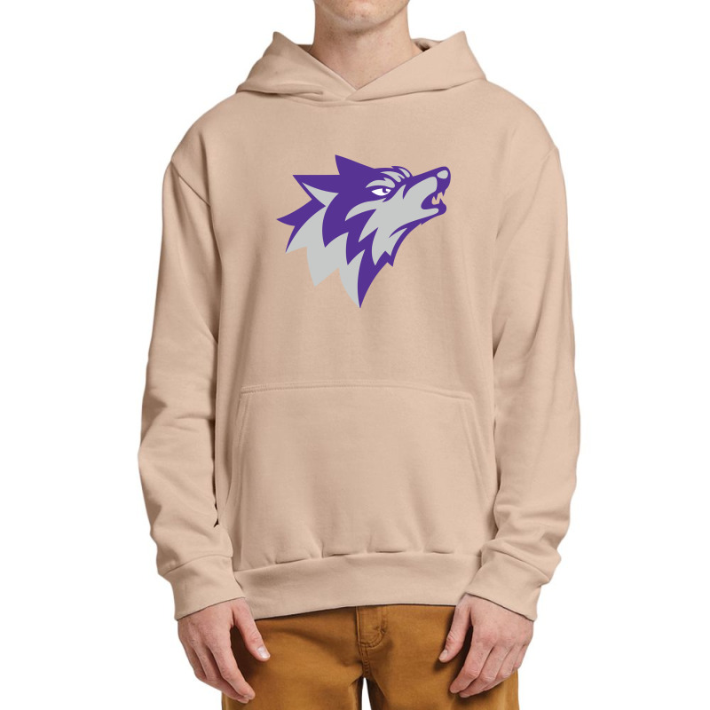 Boston Latin School Urban Pullover Hoodie | Artistshot