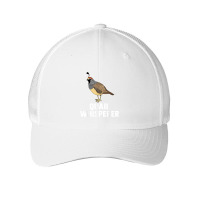 Cute Quail Design For Men Women Kids Quail Bird Whisperer Mesh Cap | Artistshot