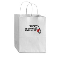 Hurricane Ian I Survived Hurricane Ian Cub Paper Bag - 8 X 4 1/2 X 10 1/4 | Artistshot