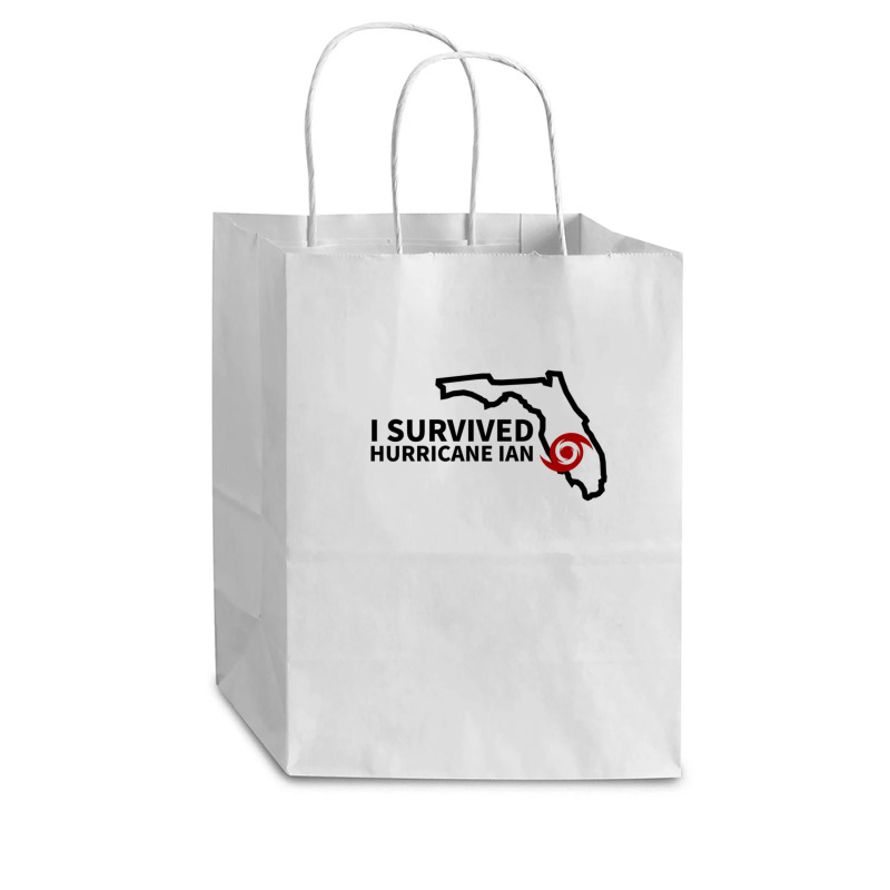 Hurricane Ian I Survived Hurricane Ian Cub Paper Bag - 8 x 4 1/2 x 10 1/4 by cm-arts | Artistshot