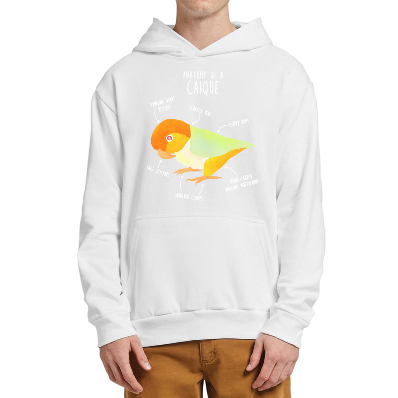 Caique T  Shirt Anatomy Of A White  Bellied Caique T  Shirt Urban Pullover Hoodie | Artistshot