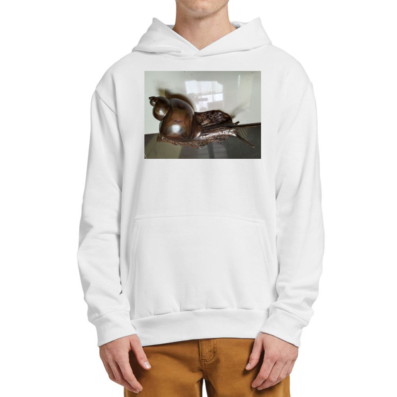 Snail Art Urban Pullover Hoodie by argo | Artistshot