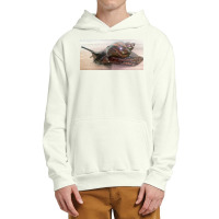 Snail Art Urban Pullover Hoodie | Artistshot