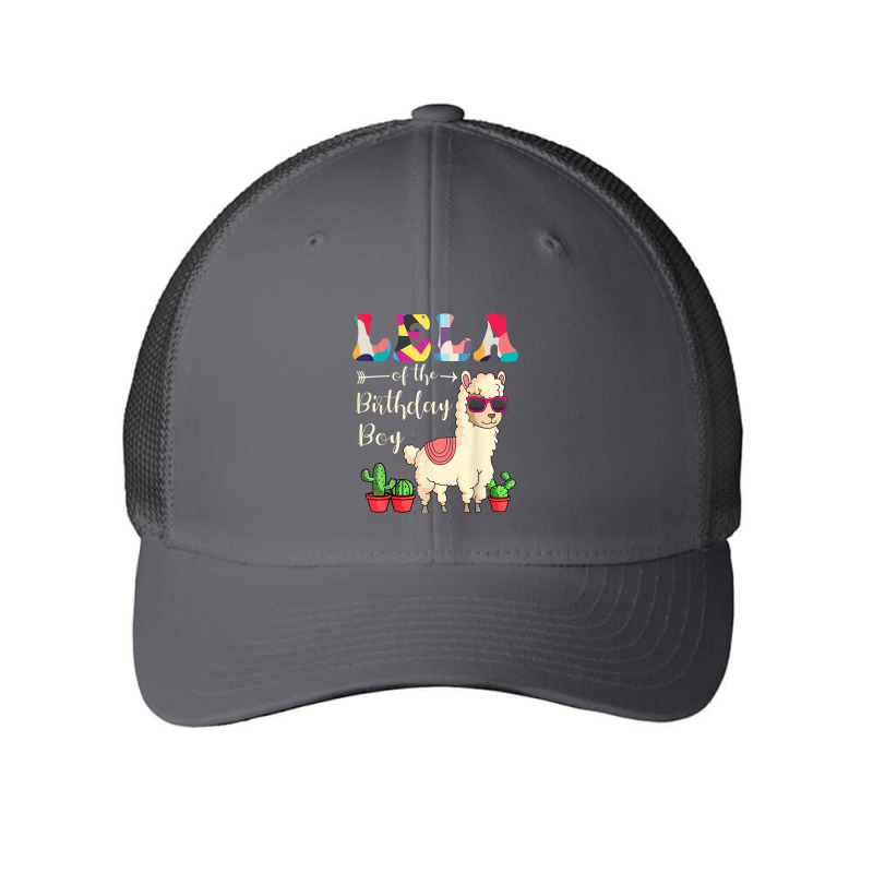 Lela Of The Birthday Boy Llama Bday Party Celebration Mesh Cap | Artistshot