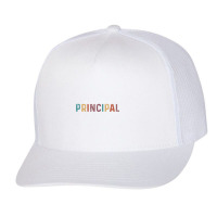 Assistant Principal Funny Job Title School Worker Vintage Trucker Cap | Artistshot