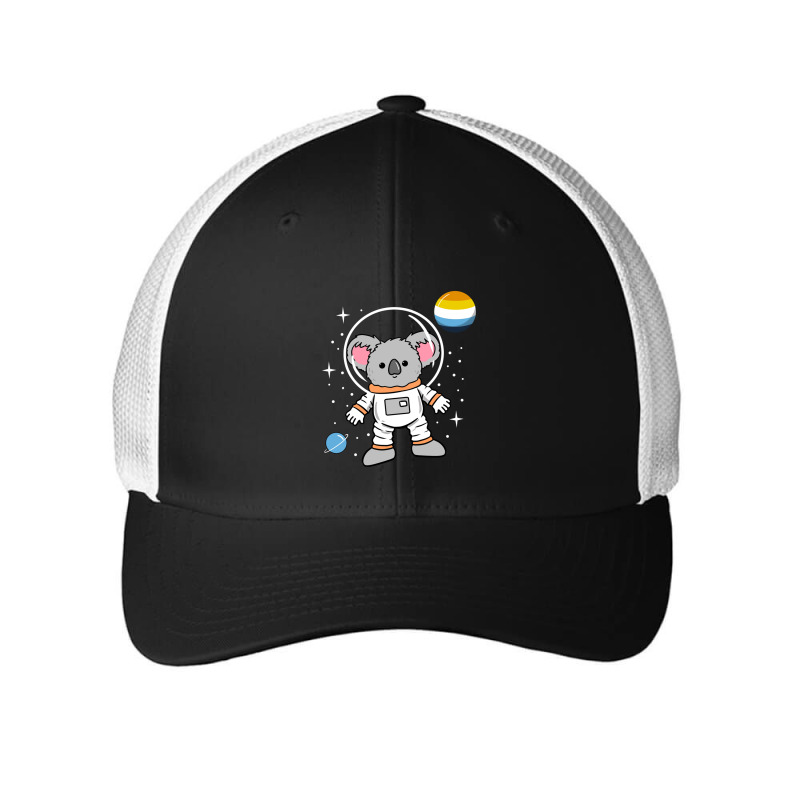 Koala Astronaut Aroace Pride Mesh Cap | Artistshot