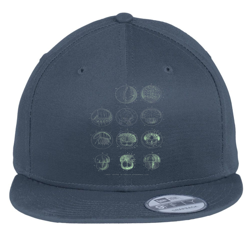 Crustacea Fossil Larval Shirt Flat Bill Snapback Cap | Artistshot