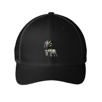 Elephant Playing A Musical Instrument Mesh Cap | Artistshot