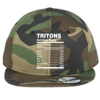 Tritons Nutrition Facts College University T Shirt Flat Bill Snapback Cap | Artistshot