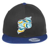 Pride Snakes - Aroace (sunset) Flat Bill Snapback Cap | Artistshot