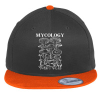 Mycology, Mycology Vintage, Mycology Art, Mycology Painting, Mushroom, Flat Bill Snapback Cap | Artistshot