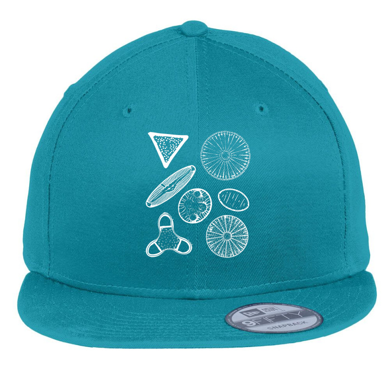 Diatoms Beautiful Science Flat Bill Snapback Cap | Artistshot