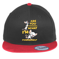 Pinky And The Brain Pondering Long Sleeve T Shirt Flat Bill Snapback Cap | Artistshot