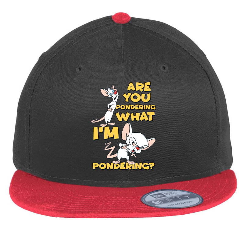 Pinky And The Brain Pondering Long Sleeve T Shirt Flat Bill Snapback Cap | Artistshot