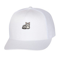 American Shorthair Cat Trucker Cap | Artistshot