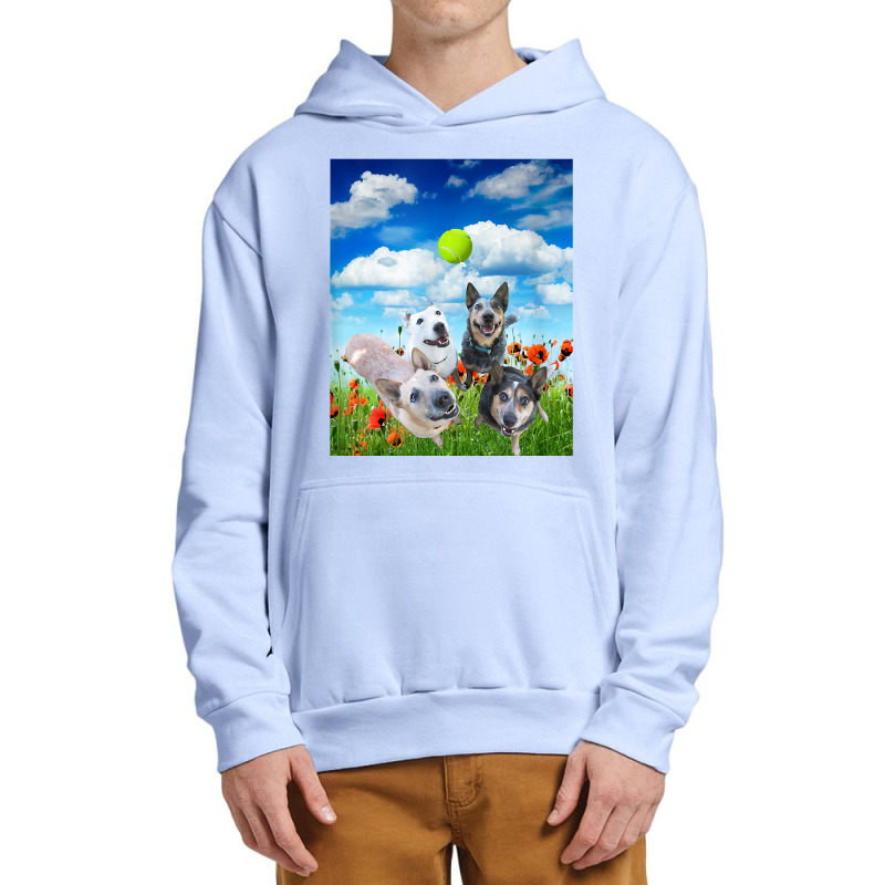 Blue Red White Heeler Cattle Dogs Playing Ball T Shirt Urban Pullover Hoodie | Artistshot