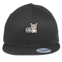 American Shorthair Cat Flat Bill Snapback Cap | Artistshot