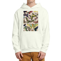 Adolphe Millot - Classic Vintage Butterfly Urban Pullover Hoodie | Artistshot