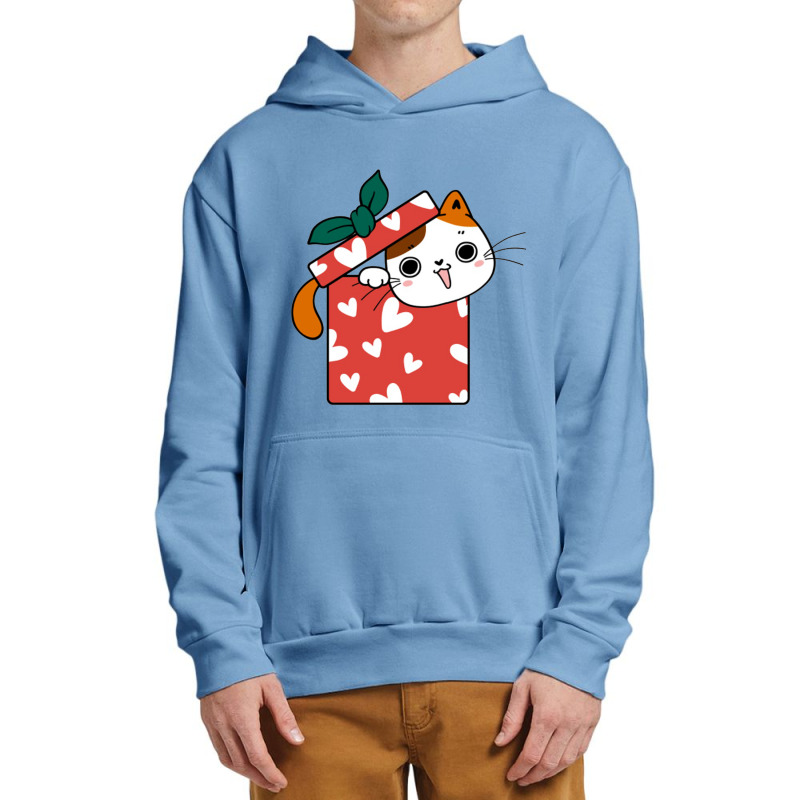 Cat In The Box Urban Pullover Hoodie | Artistshot