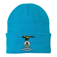 Inverness Caledonian Thistle Beanie | Artistshot