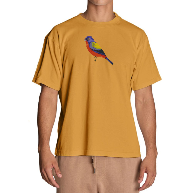 Just A Boy Who Loves Painted Buntings T  Shirt Just A Boy Who Loves Pa Urban Heavy T-shirt by shouldcloser | Artistshot