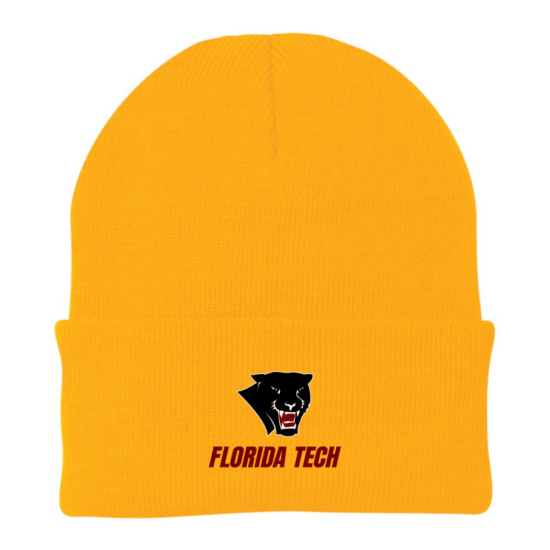 Florida Tech Beanie by Raqinas | Artistshot