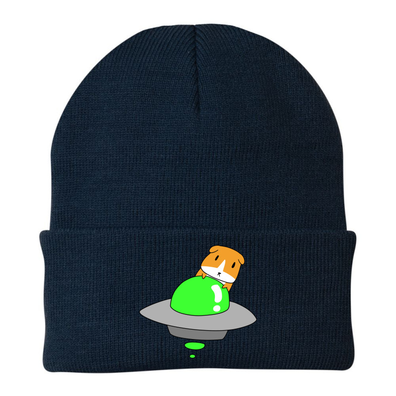 Ufo Guinea Pig Beanie | Artistshot