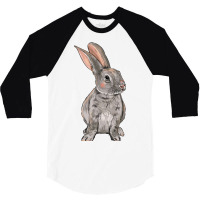 Easter Bunny 3/4 Sleeve Shirt | Artistshot