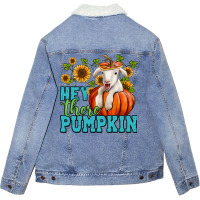 Hey There Pumpkin Lamb Unisex Sherpa-lined Denim Jacket | Artistshot